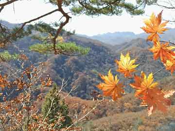 沈陽(yáng)地鐵最新規(guī)劃方案